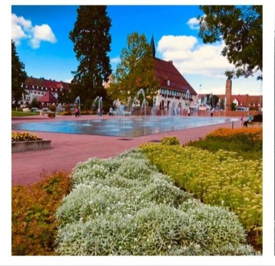 Traumblick Fewo Mit Pool Baiersbronn Exterior photo